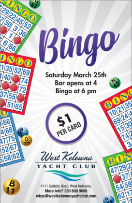 Bingo Night